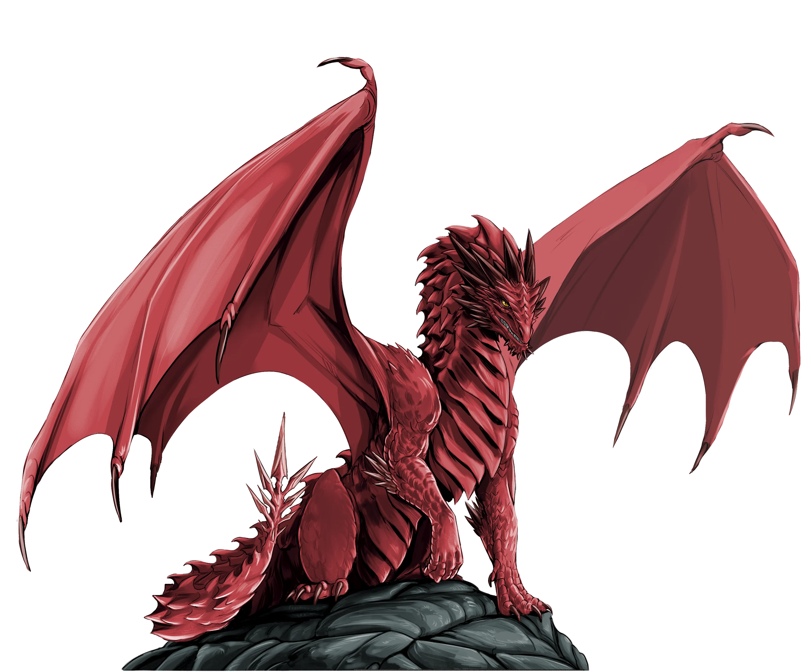 Diachie, a red daggertail